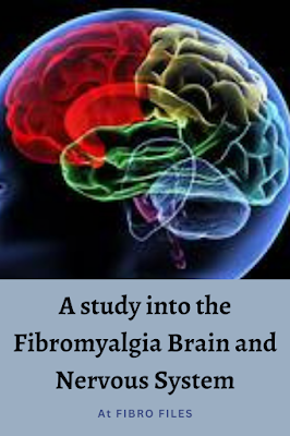 Fibromyalgia Brain and Nervous Systemn study