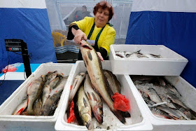 http://www.reuters.com/article/2014/10/10/us-ukraine-crisis-eu-fish-idUSKCN0HZ1MD20141010
