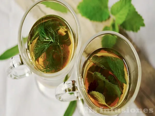 Infusiones para eliminar líquidos y desinflamar