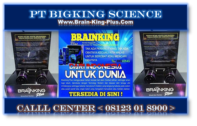 http://www.brain-king-plus.com/