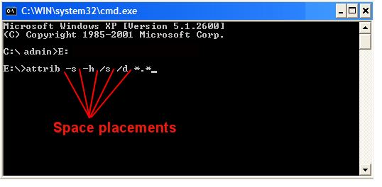 Mengembalikan file yang terkena virus di flashdisk