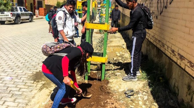 Alcaldía Foresta carrera de Gas y Petroquímica de la UPEA