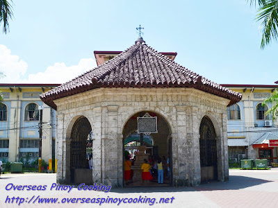 Magellan's Cross