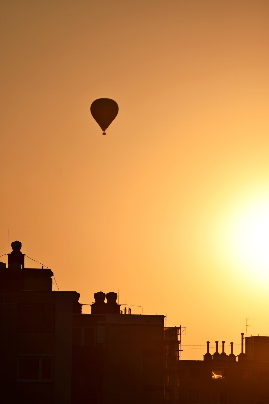 Hot air balloon in the sunset