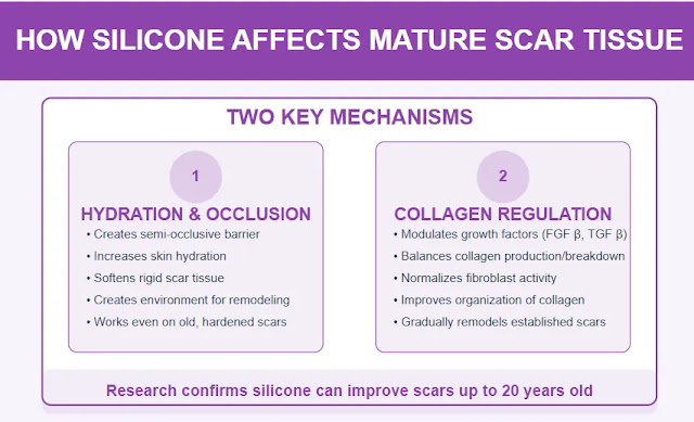 How Silicone Affects Mature Scar Tissue