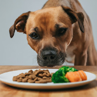 Diet Tips for Dogs
