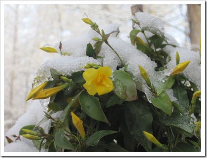 December 2010 086