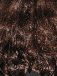 Curly Hair back of head.jpeg