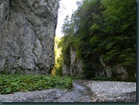DSCN4952