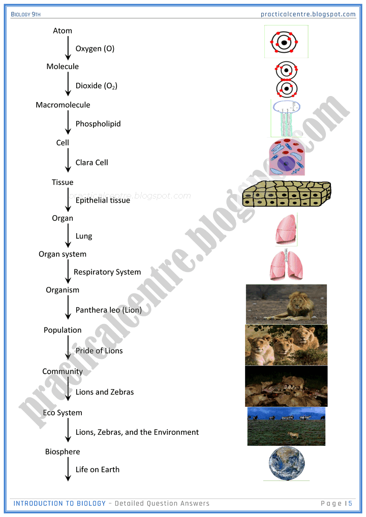 introduction-to-biology-detailed-question-answers-biology-9th-notes