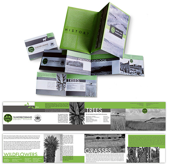 business brochure