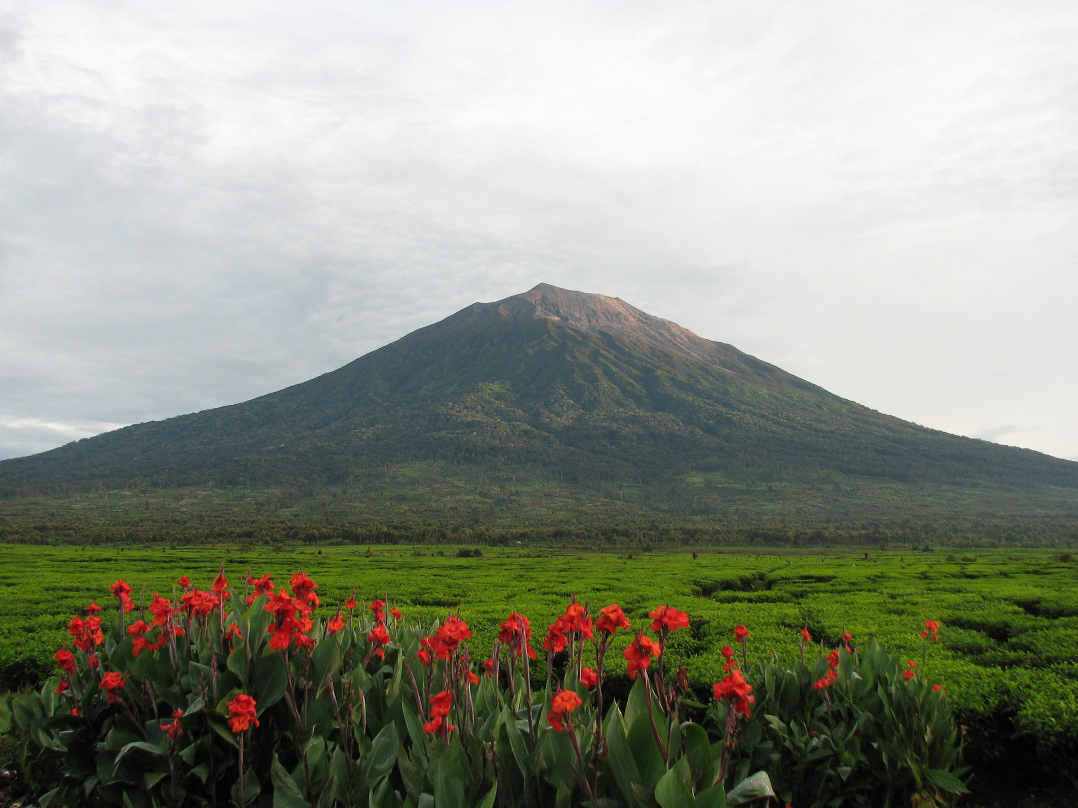Gunung Kerinci Erupsi di Jambi