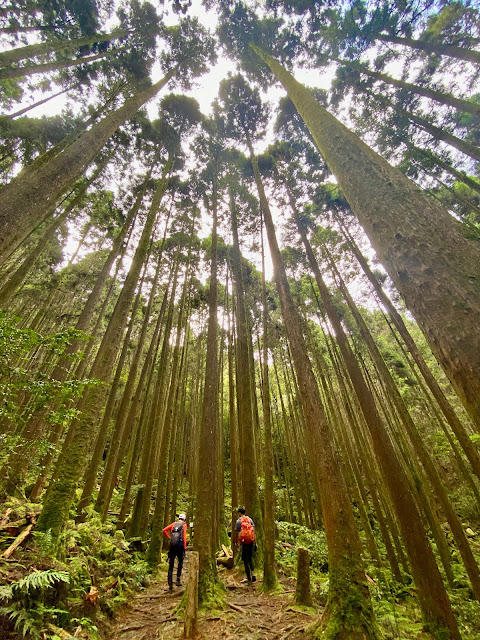 橫嶺山步道