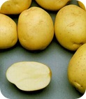 batata