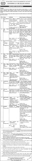 Latest Jobs in Punjab Public Private Partnership Authority (PPP) 2021 | Scholarship Guide