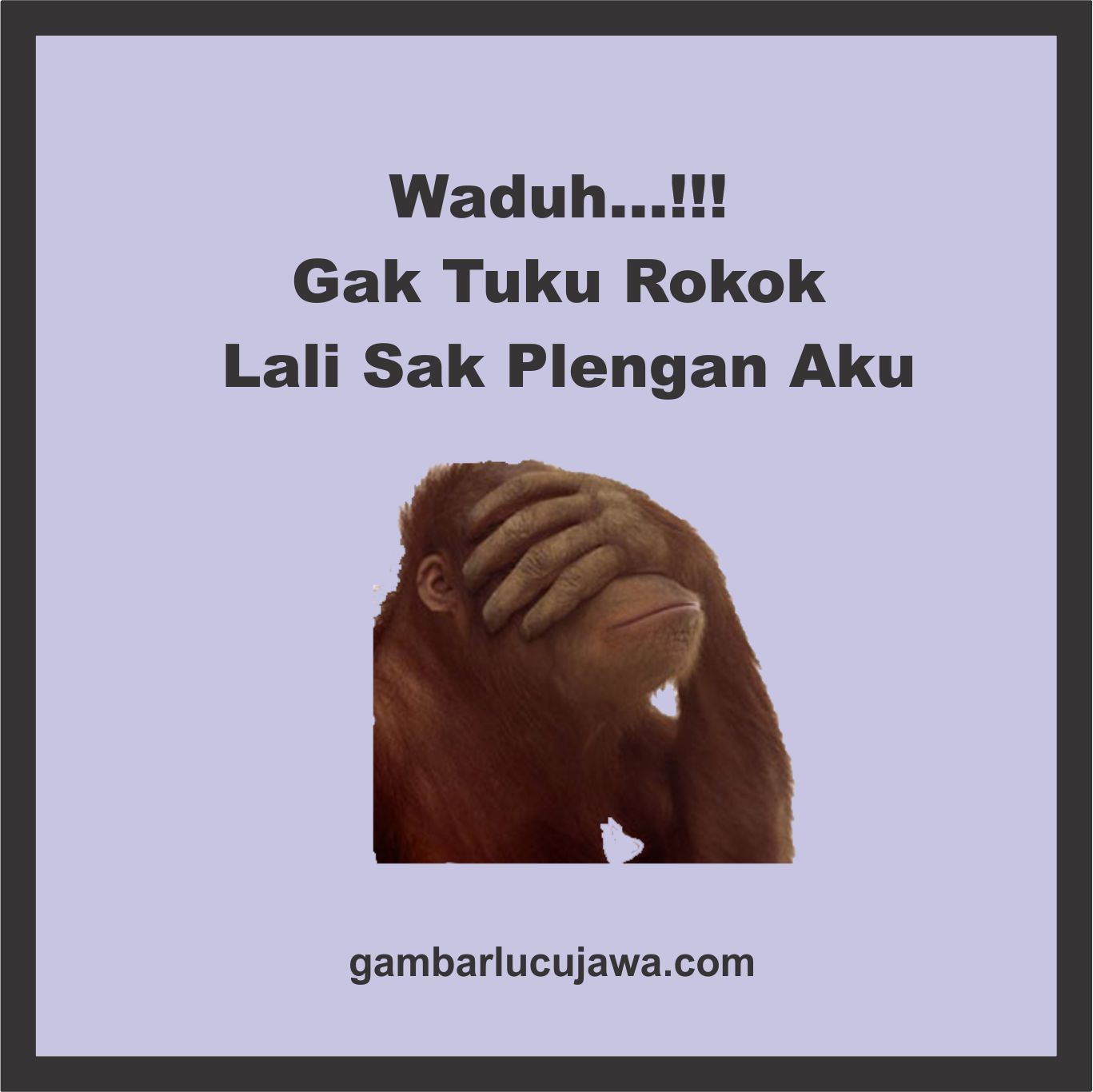 100 Gambar Kata Kata Lucu Tentang Ngopi Koleksi Meme Madura