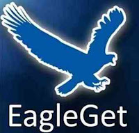 EagleGet 2.0.4.0 Stable Full Version Free Download LATEST