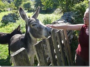 Making friends with the locals