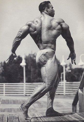 Kevin Levrone 