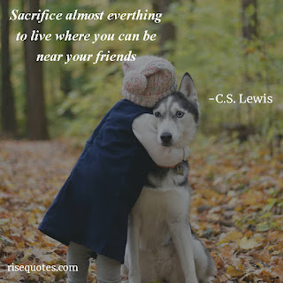 Friendship Quotes With Images