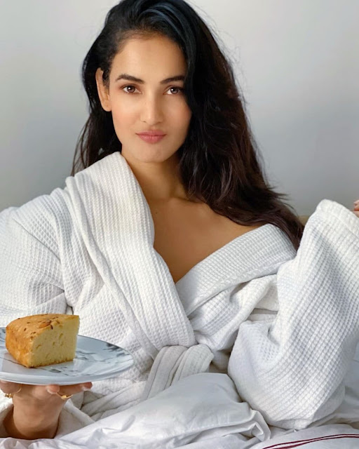 Sonal Chauhan : Height, weight, Age, Networth, Hot Images