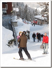 Murren - Detalhes - IMG_4520