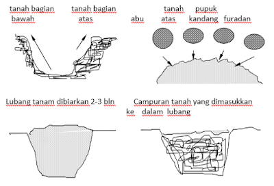 Sistem Tahun Bercocok Tanam