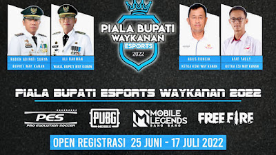 Halo Gamers! Mari Daftarkan Segera Team Anda Pada Piala Bupati E-sport Way Kanan