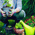 Creating Precious Memories in Your Home Garden