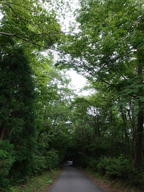 鳥取県道314号赤松大山線　鳥取県西伯郡大山町明間