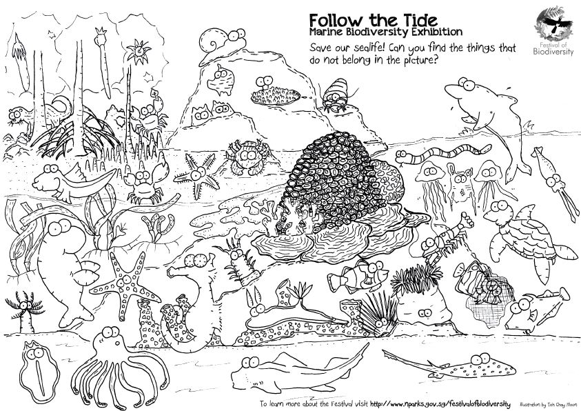 Wild Animal Coloring Pages