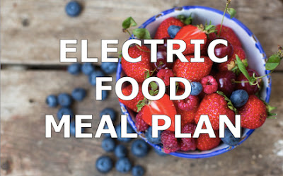 Electric Food Meal Plan non hybrid alkaline vegan 