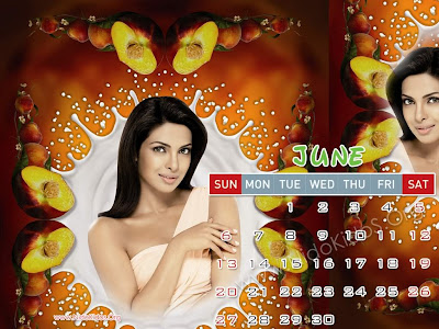 hot calendars 2010. Sizzle amp; Hot Calendar 2010