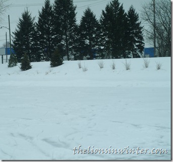 The old hockey pond.