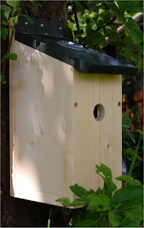 camera birdbox