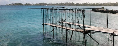 tahitian pearl farm in French Polynesia