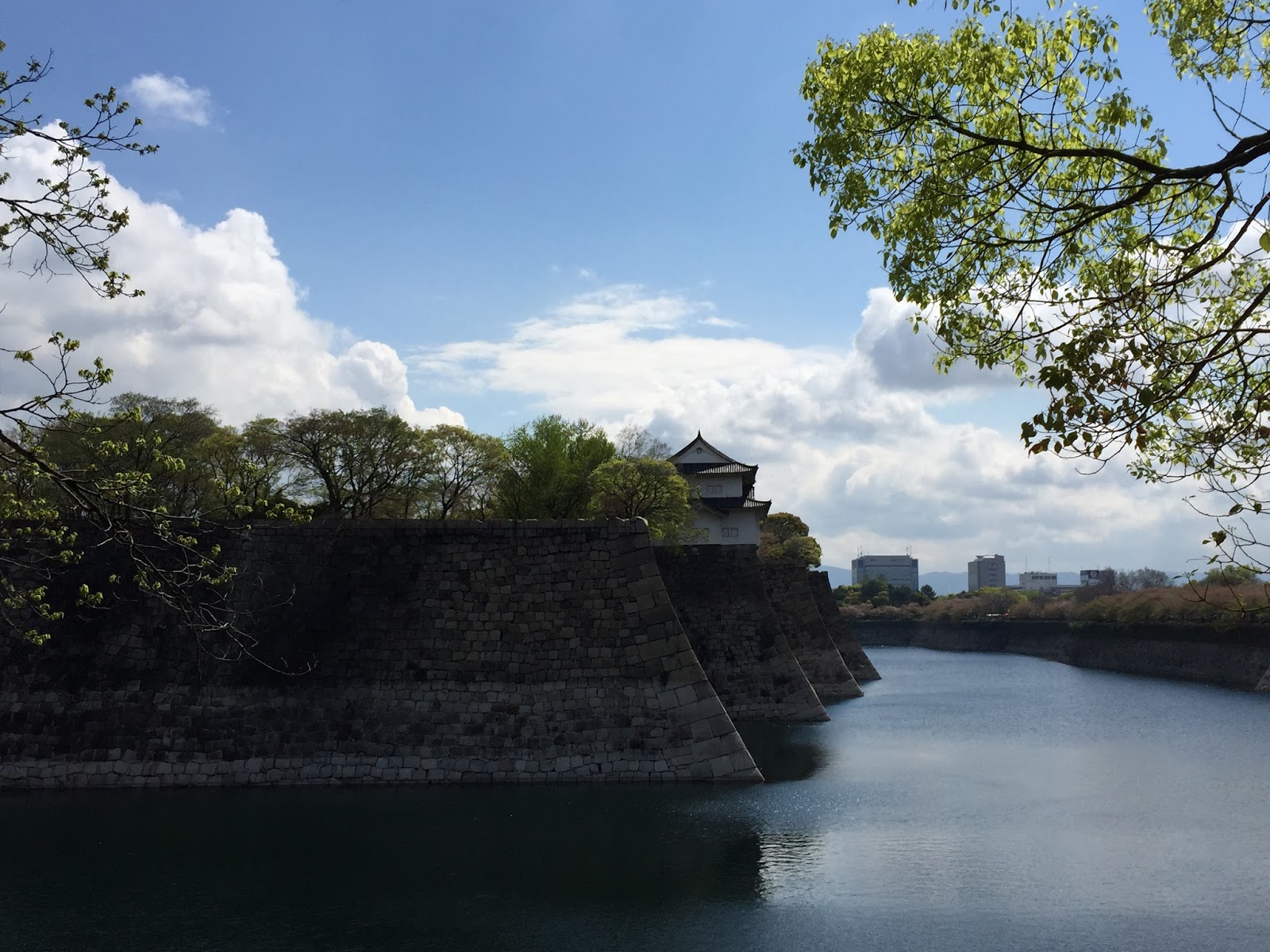 彤夢花園 15 日本關西 京都 大阪 奈良 七天自由行 有機會可能遇到櫻花之旅 15 大阪城公園 天守閣