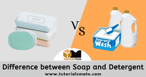 Difference Between Soap and Detergent