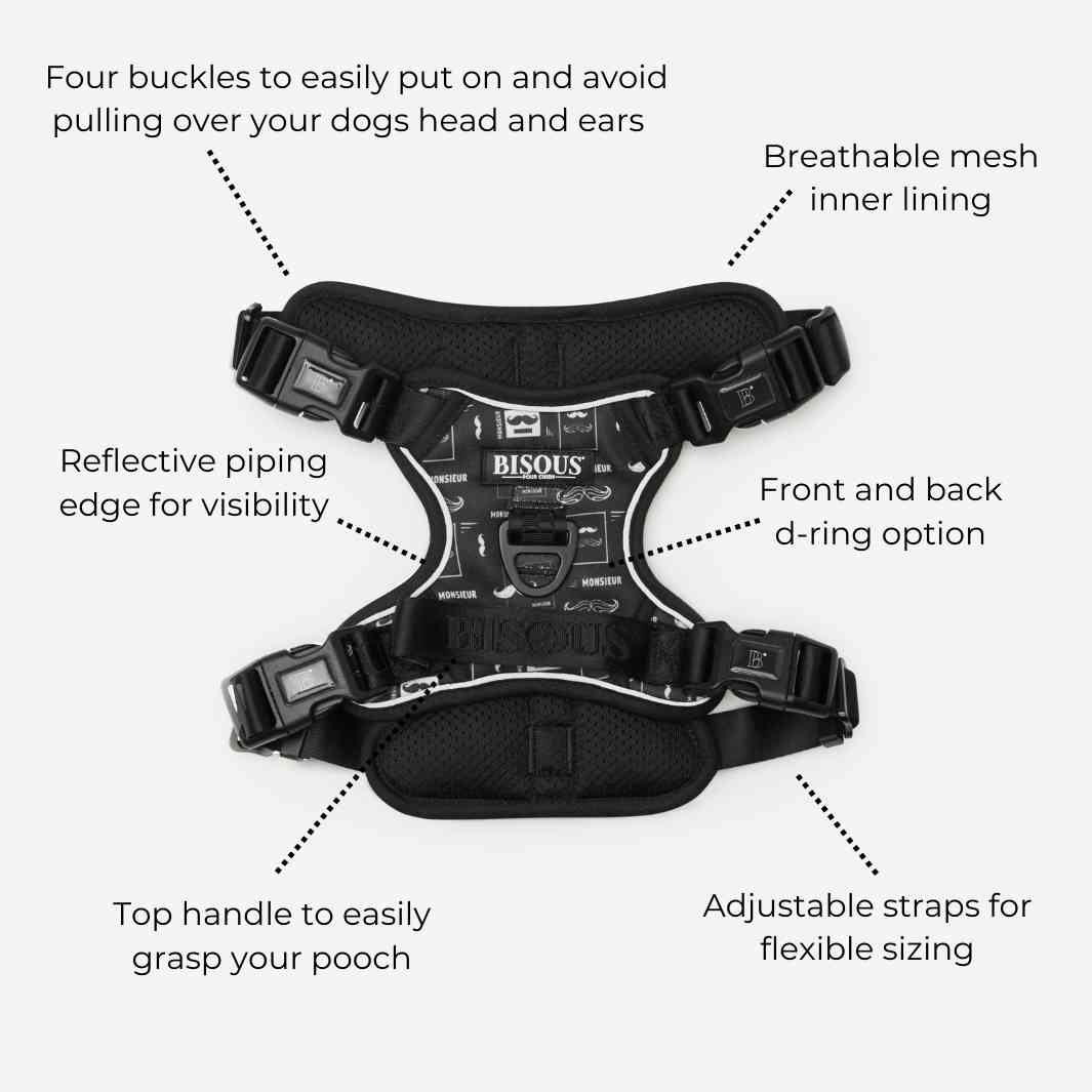 Bisouspets stylish harness