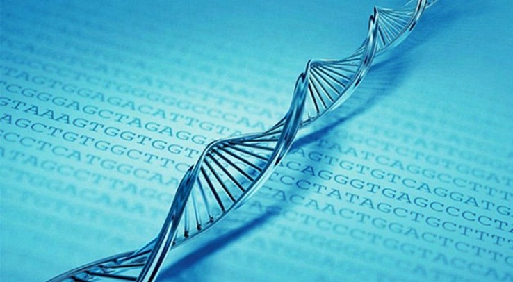 Kapan Struktur Molekul DNA Ditemukan? Belajar Sampai Mati, belajarsampaimati.com, hoeda manis