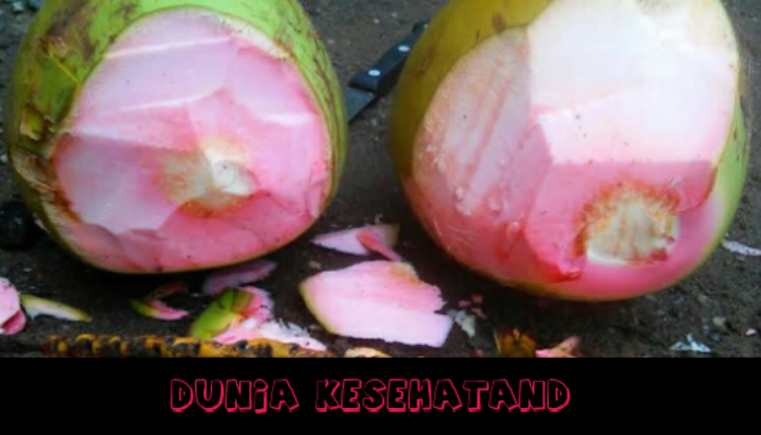 Manfa'at istimewah dari buah kelapa merah