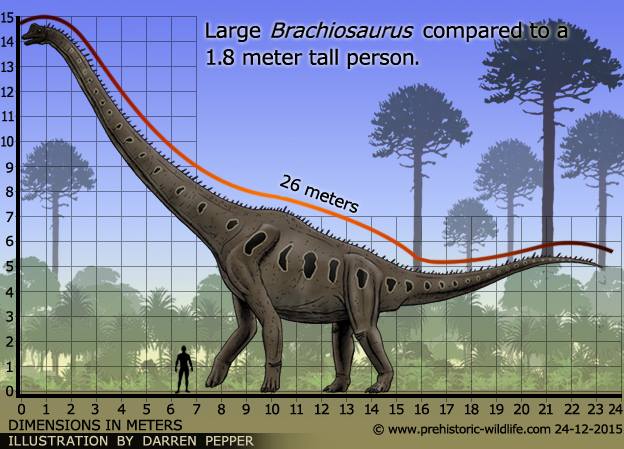 Brachiosaurus