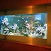 Home Aquarium Design