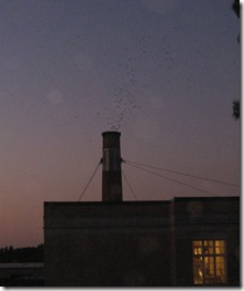 050