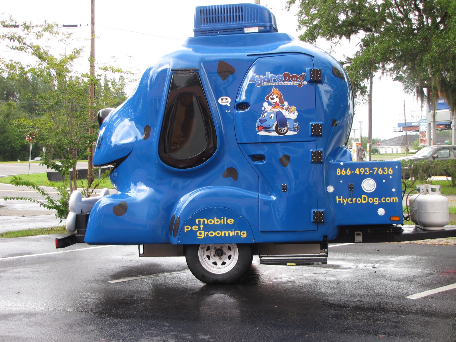 Smiling Sally: Blue Monday - Blue Mobile Pet Grooming