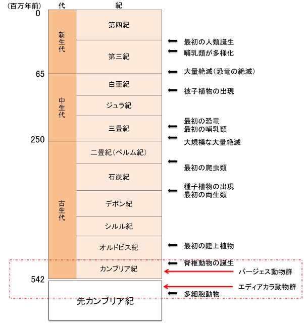 Bioinformaticsのお勉強 カンブリア爆発の前後の動物群