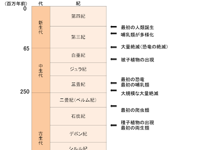 【印刷可能】 ピカイア 生物 256033-生物 ピカイア