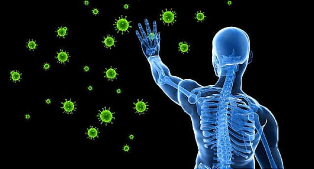 What is Immune System?