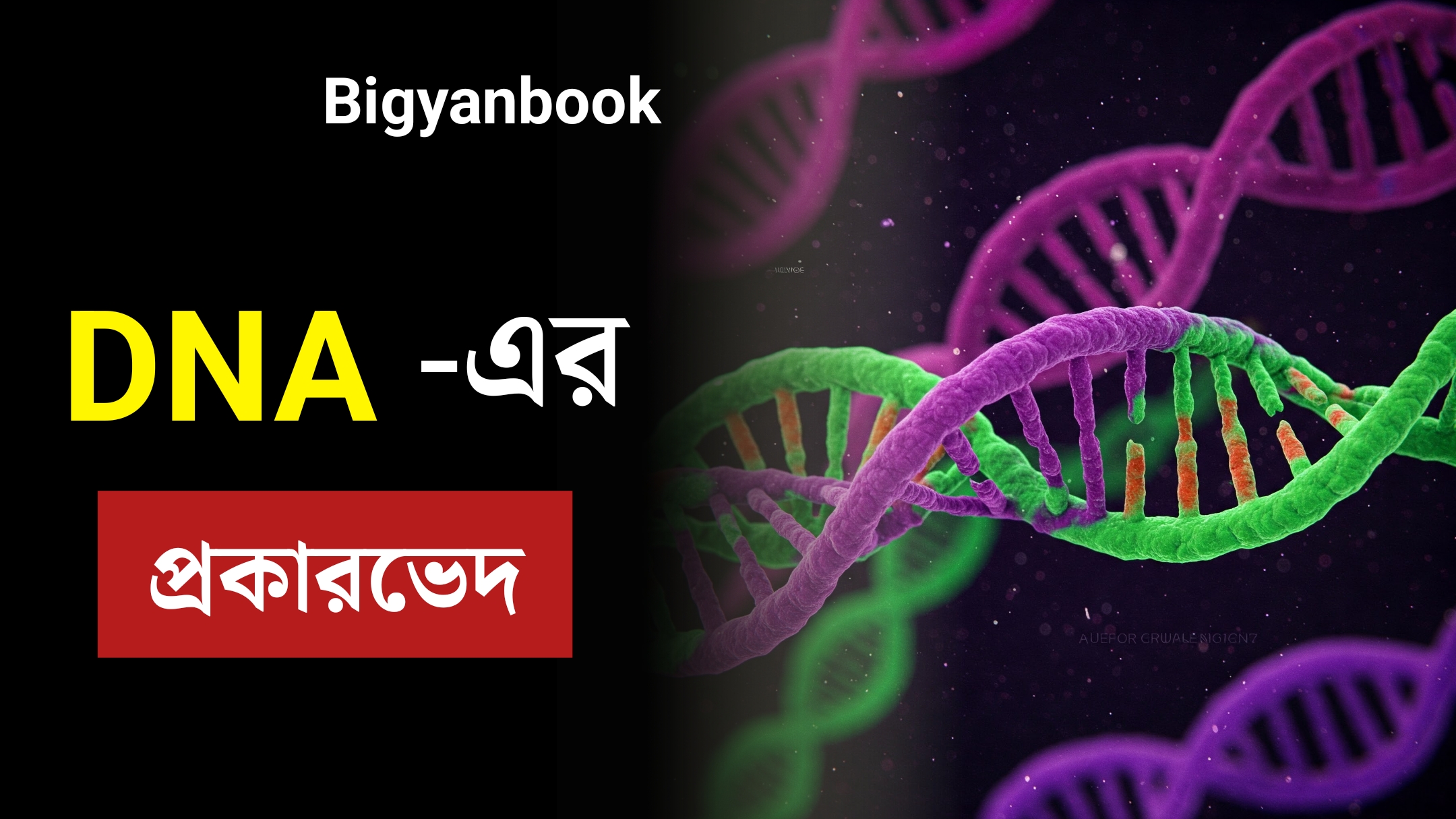 Cover image Bigyanbook DNA -এর প্রকারভেদ | Types of DNA