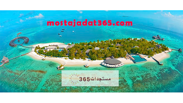 عروض عمل في جزر المالديف 2024